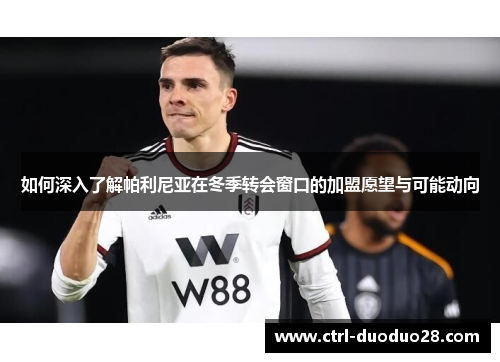 如何深入了解帕利尼亚在冬季转会窗口的加盟愿望与可能动向