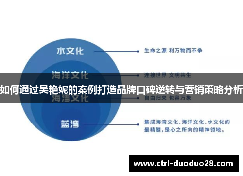如何通过吴艳妮的案例打造品牌口碑逆转与营销策略分析