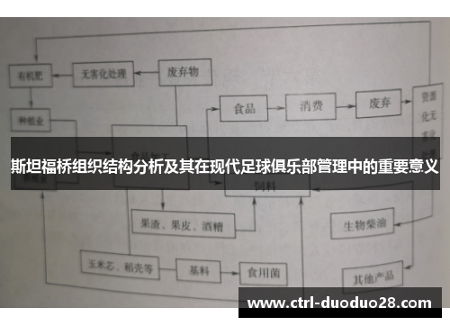 斯坦福桥组织结构分析及其在现代足球俱乐部管理中的重要意义 斯坦福桥组织结构分析及其在现代足球俱乐部管理中的重要意义
