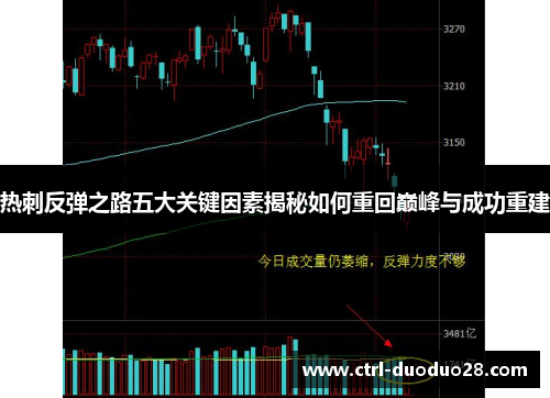热刺反弹之路五大关键因素揭秘如何重回巅峰与成功重建